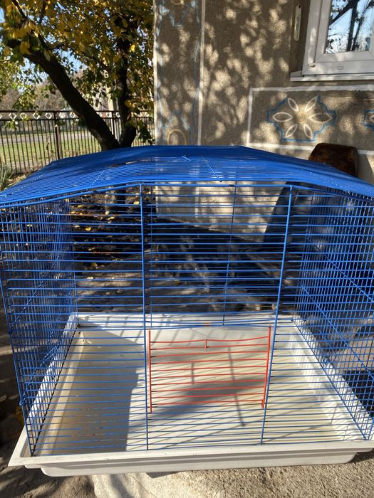 Клітка можна гризунів можна для пташок вона великого розміру