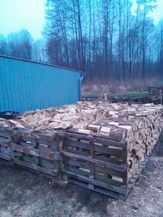 Sosna pocięta I połupana