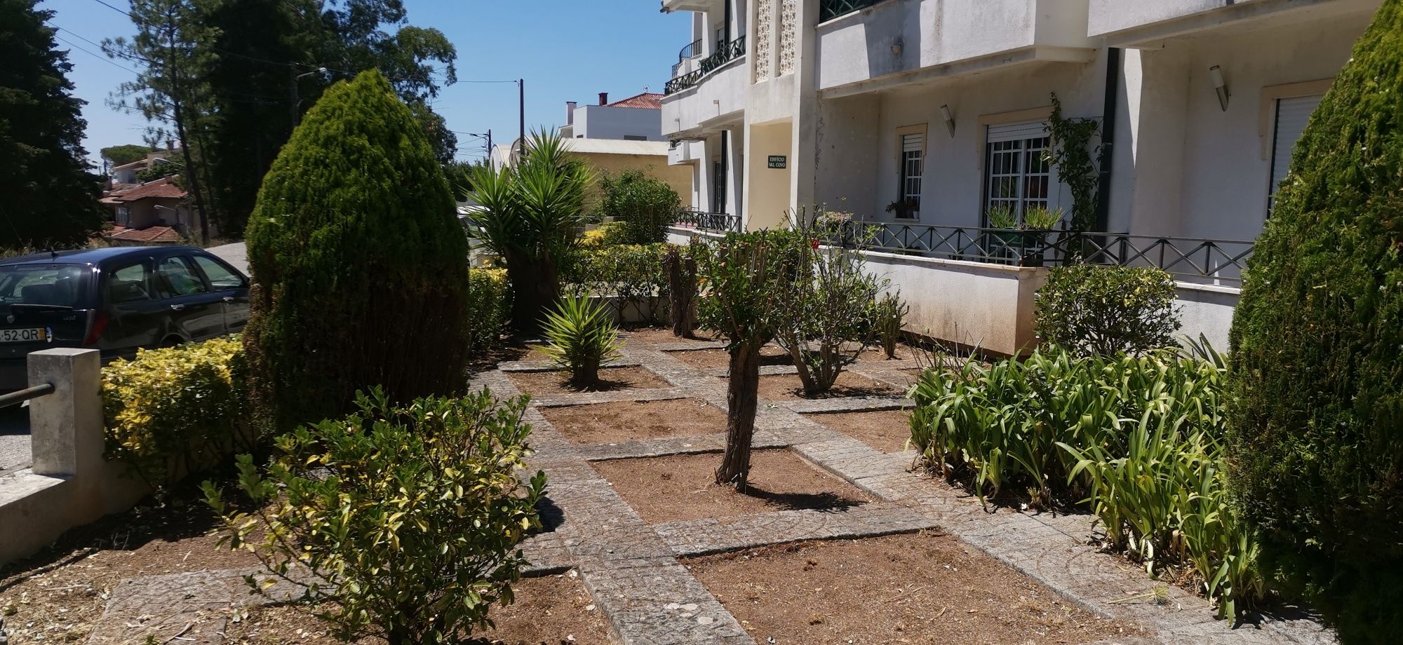 Jardinagem Coimbra
