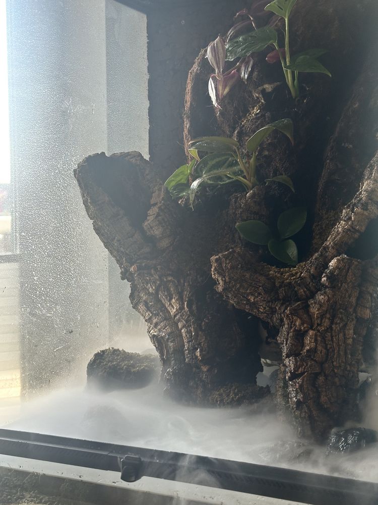 sprzedam terrarium/paludarium repti planet - z zawartoscia