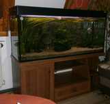 Zestaw +  Akwarium 240L firmy Aquaboro