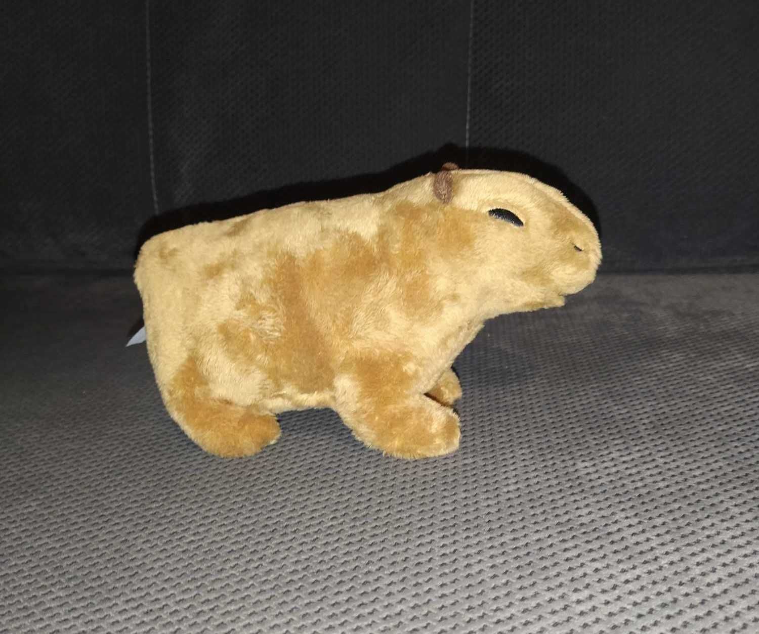 Kapibara pluszak