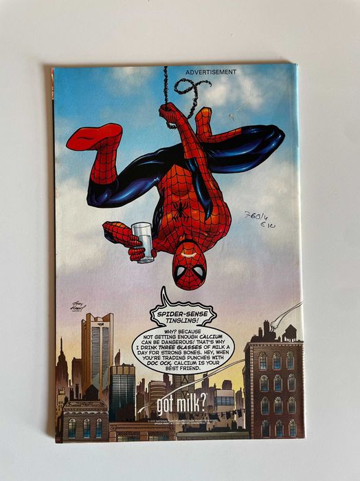 Webspinners Tales of Spider-Man #13 (Marvel 1999)