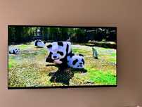 Sprzedam Telewizor 4K 55 cali LG OLED 55C21LA