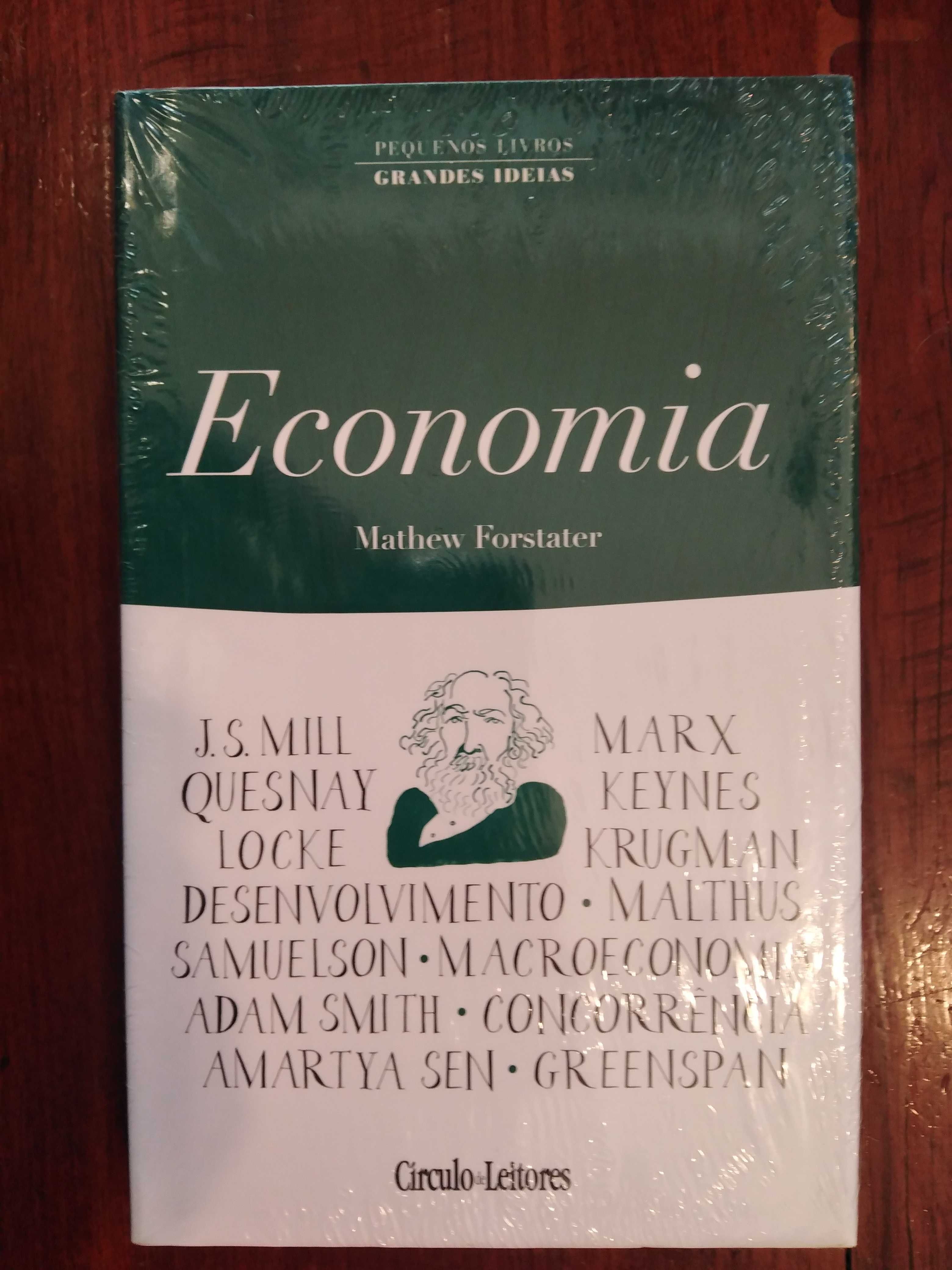 Mathew Forstater - Economia