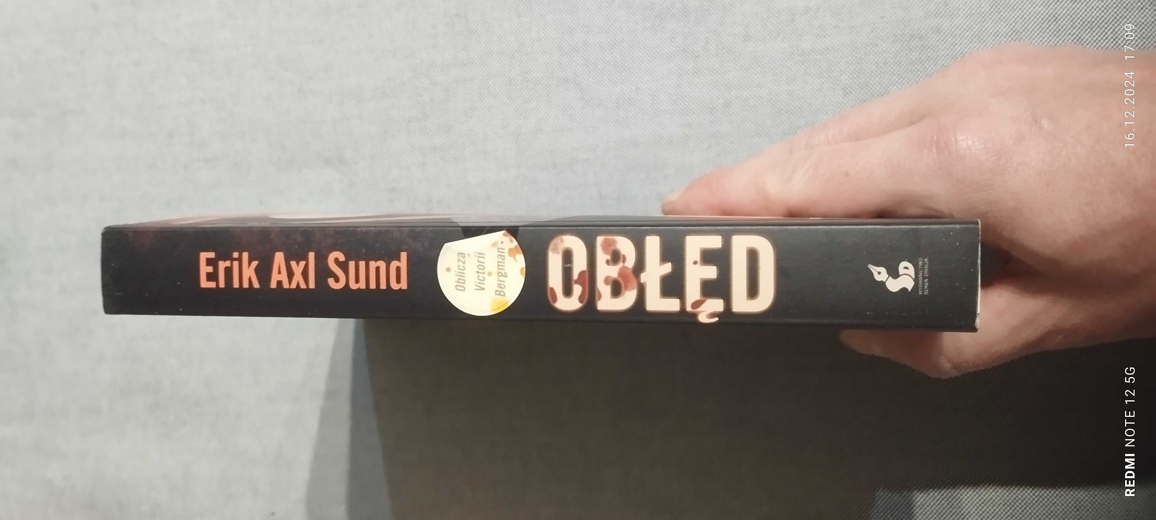 Erik Axl Sund "Obłęd"