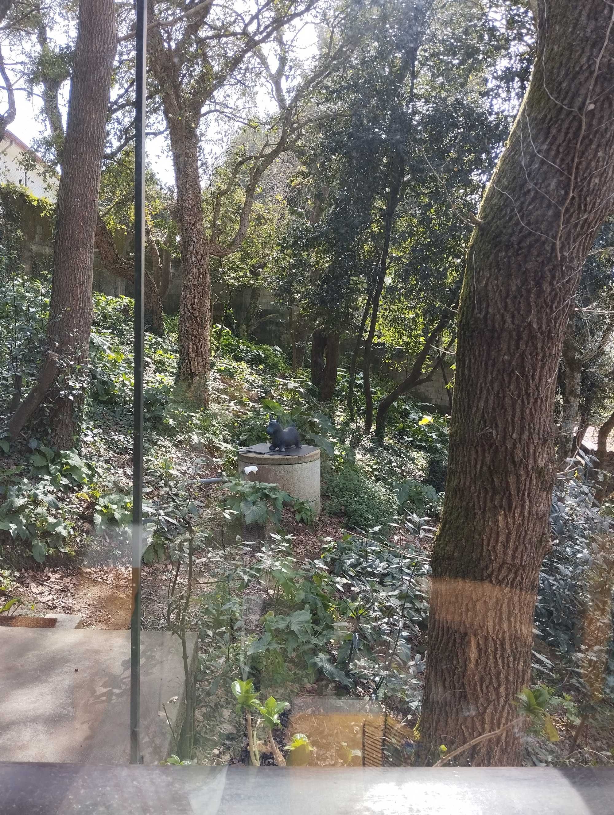 Suite a 4 KMS do mar, até 2 pessoas. Animais bem vindos.
