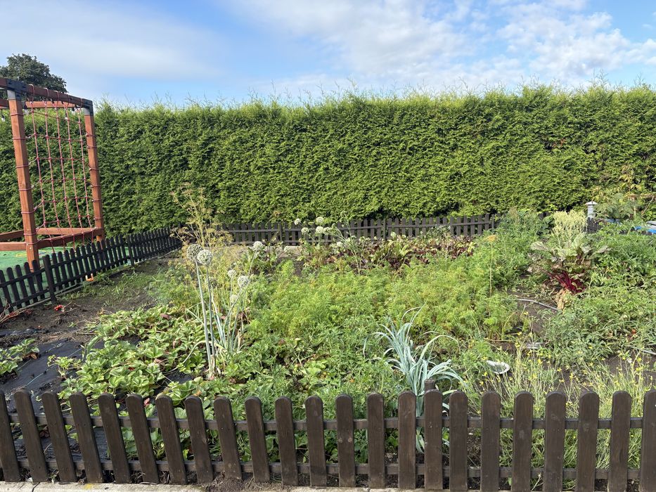 Płotek ogrodowy drewniany wysokość 40 cm