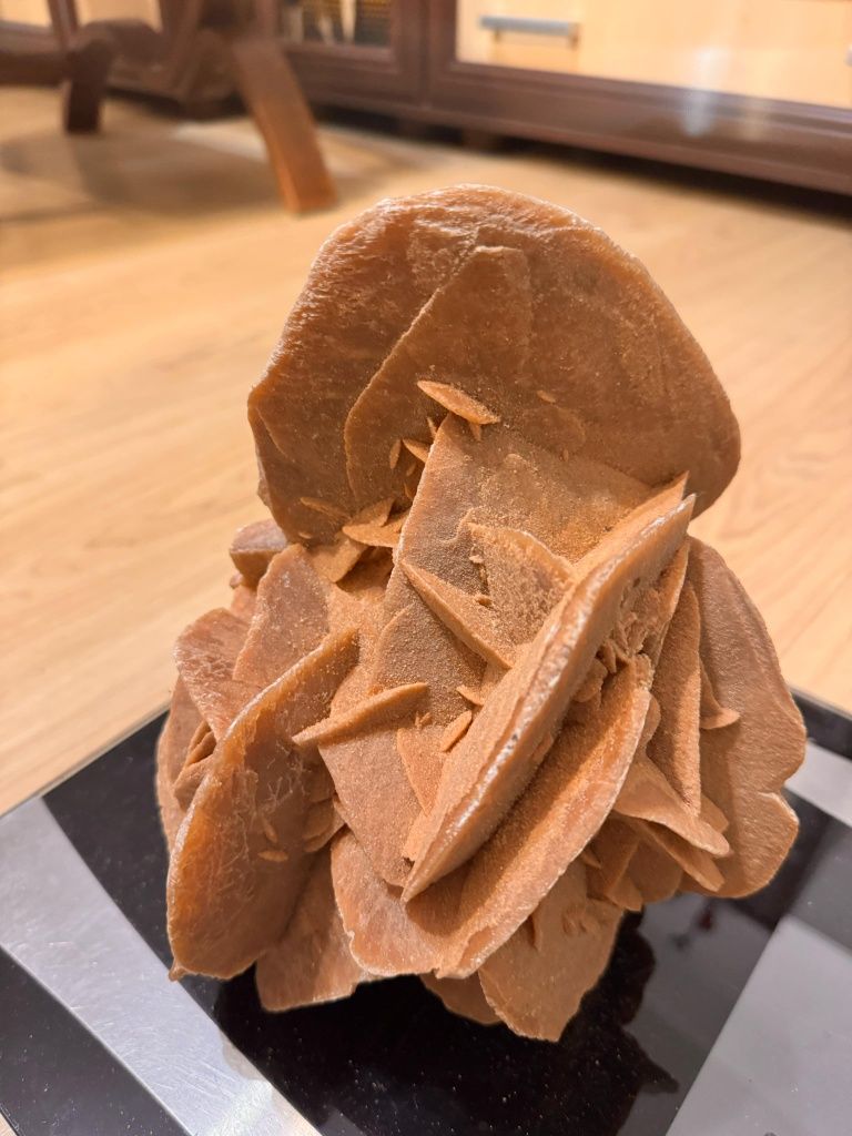 Róża pustyni  gigant 3kg.Biurko,salon,taras i zdrowie.
