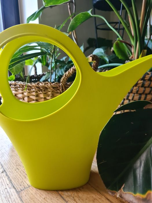 Dizajnerska konewka limonkowa