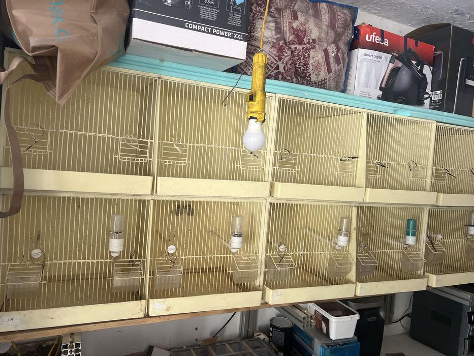 Vendo cerca de 11 viveiros