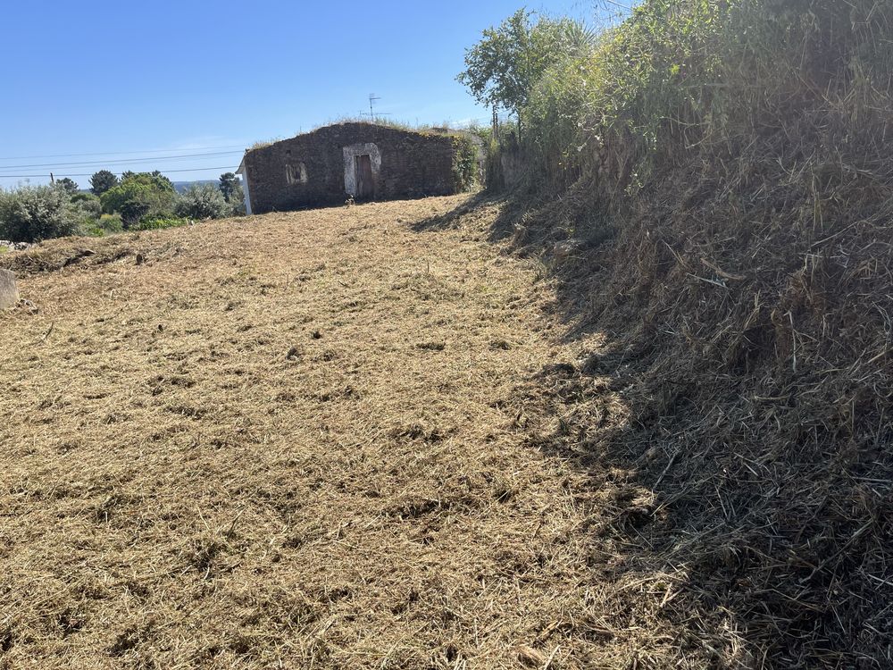 Vendo pequena quinta com ruina no centro de Mouriscas Abrantes