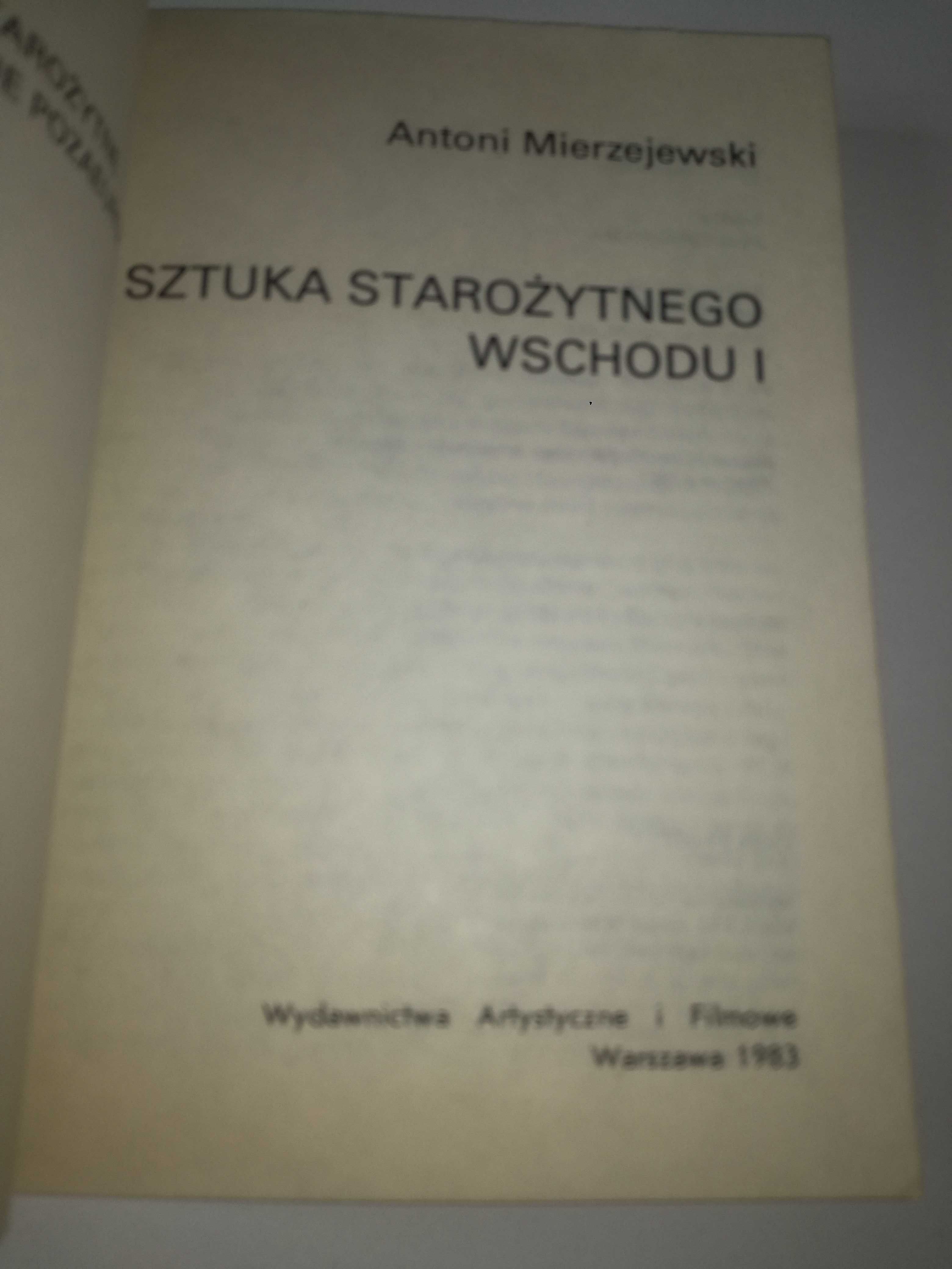 Antoni Mierzejewski. Sztuka starożytnego wschodu I