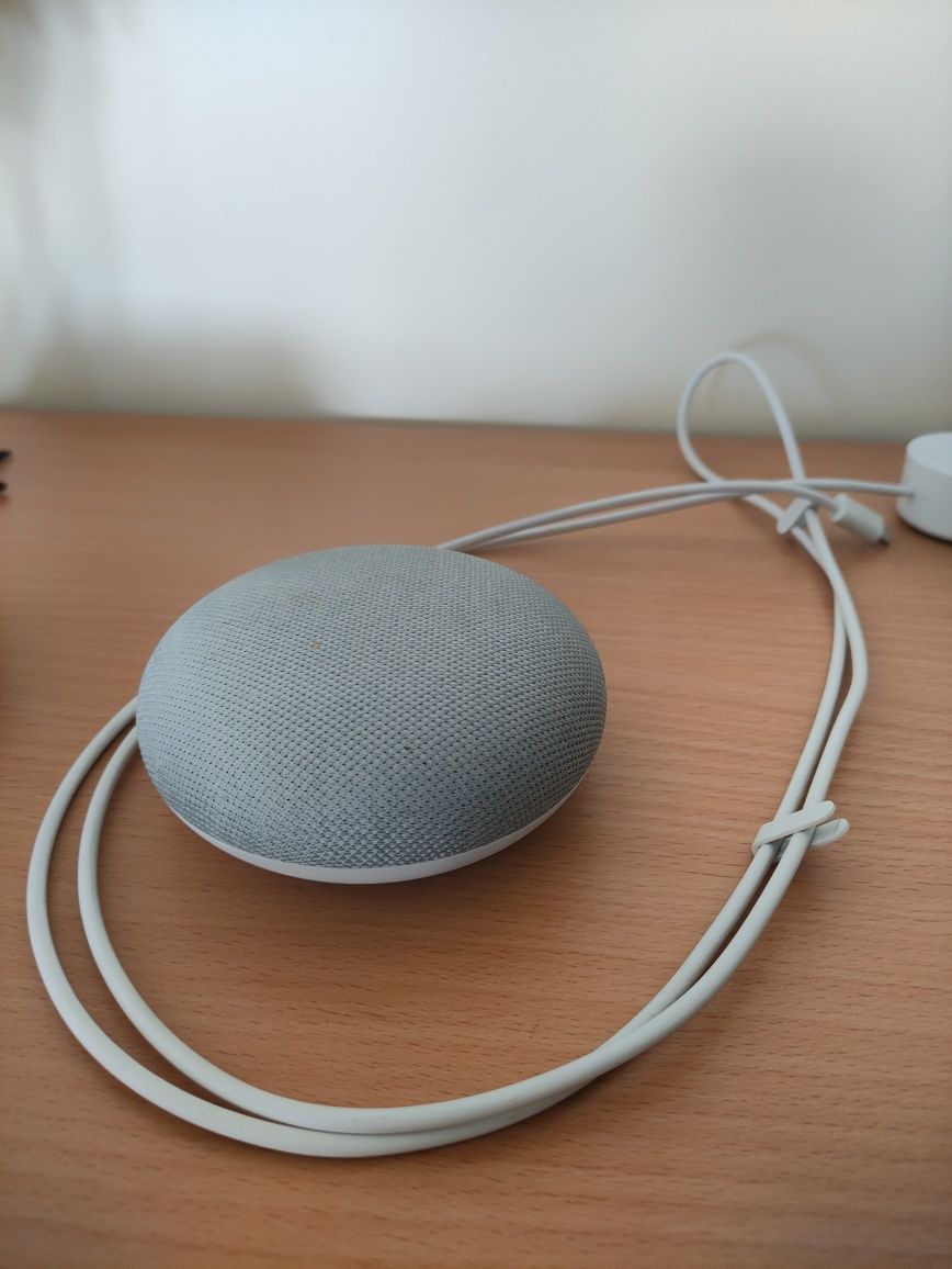 Google home mini