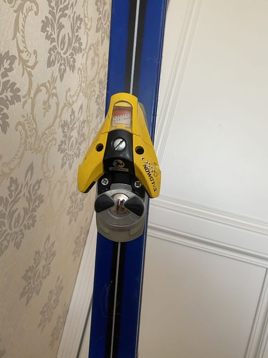 Лижі гірськолижні з чехлом