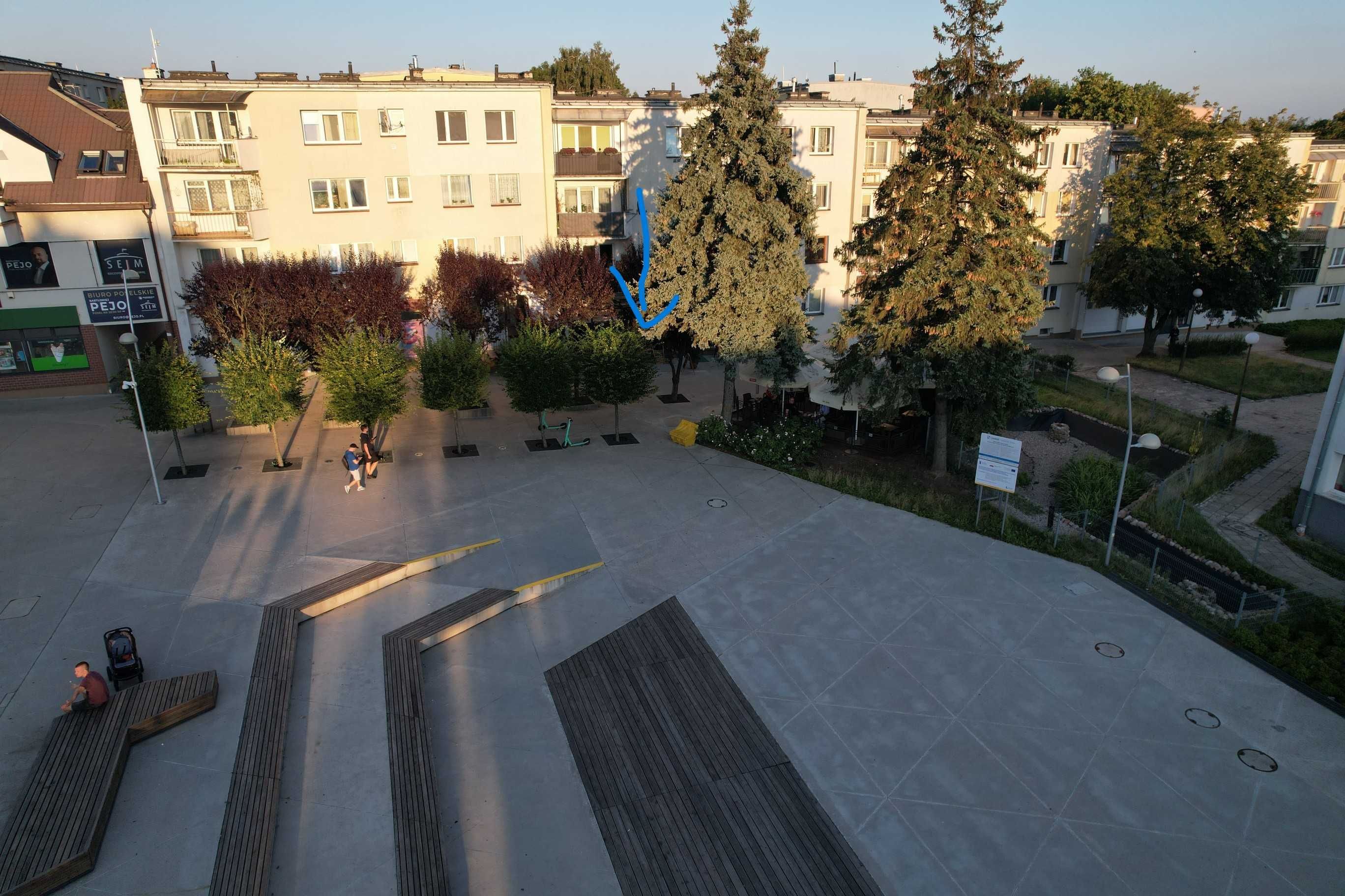 Wynajmę lokal w centrum Świdnika przy głównym placu