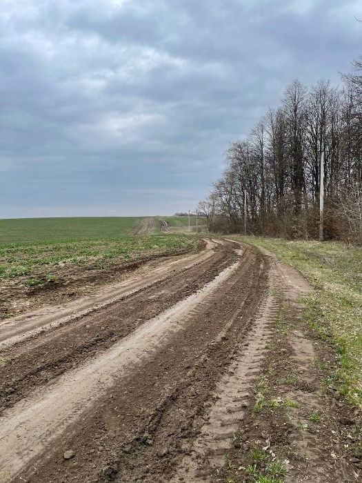 Земельна ділянка, гектар Підгірці, Рівненський район. 4500.