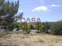 Lote de Terreno  Venda em Constância,Constância