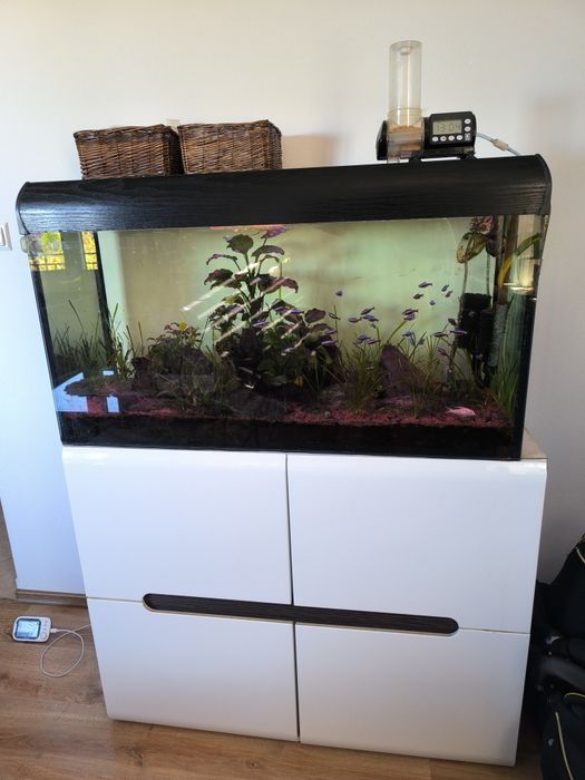 Sprzedam akwarium 200l