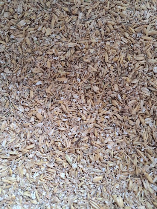 Śruta pszenna Pszenica gnieciona z walcy jeczmienna żytnia