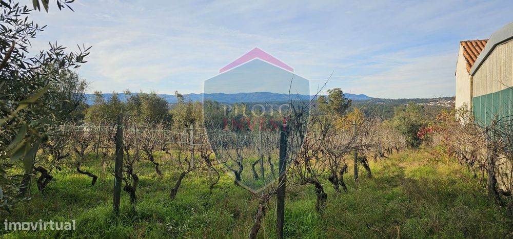 Terreno Para Construção  Venda em Silgueiros,Viseu