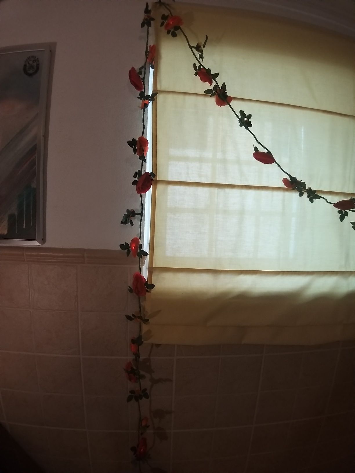 Flores iluminadas de natal