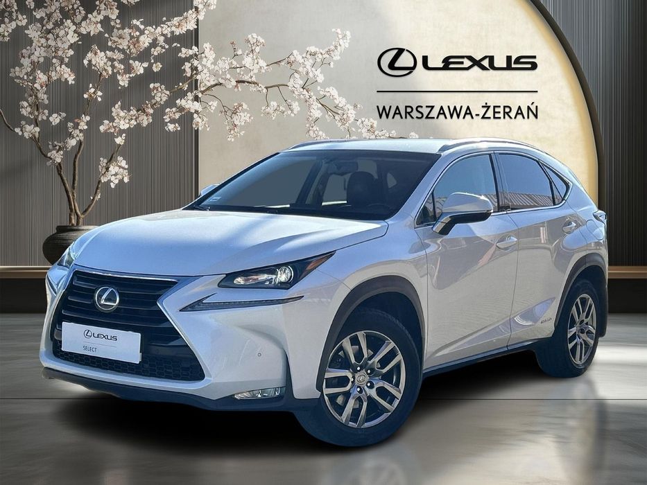 Lexus NX 300h Comfort AWD / FV MARŻA / Salon PL / Serwis ASO / Bezwypadkowy