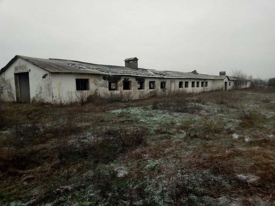 Ферма. Корівники. Будівлі. Тваринницький комплекс. Ділянка 2,8 га.