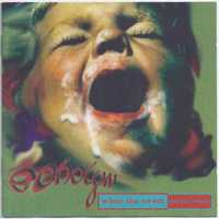 Echolyn cd  When The Sweet Turns Sour    prog rock super