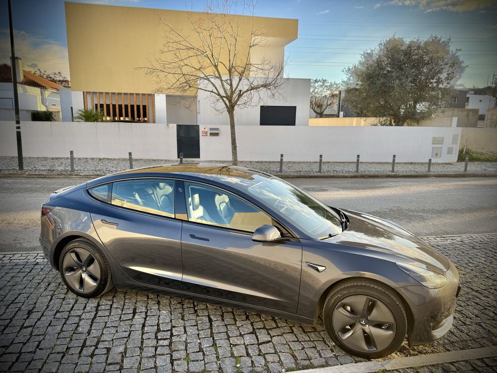 Tesla Model 3 Standard Plus RWD