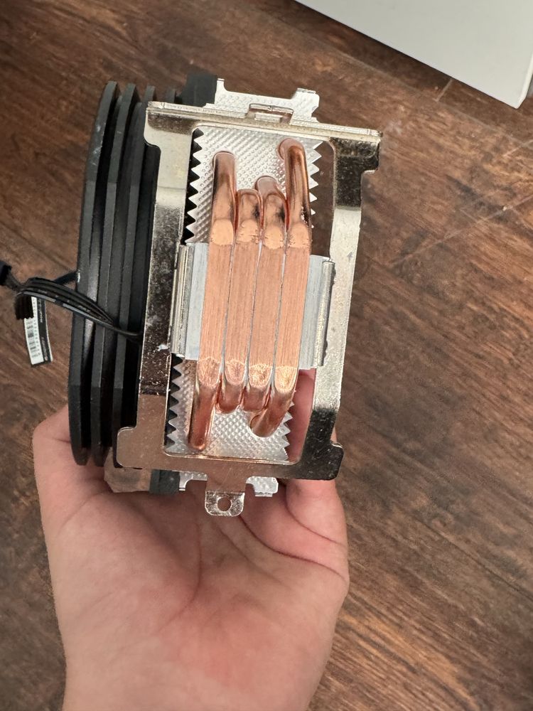 Endorfy spartan 5 max
