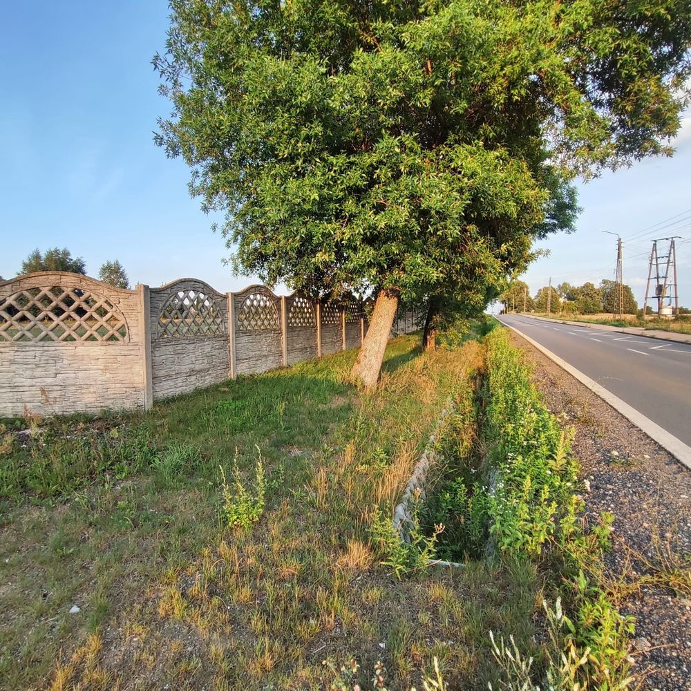 Dom z działką 8200m2