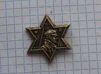 Odznaka Legiony Żydzi w Legionach