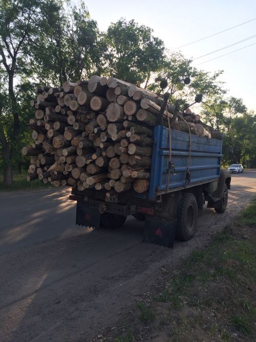 Дрова. Твердих порід. Рубані і метровки.