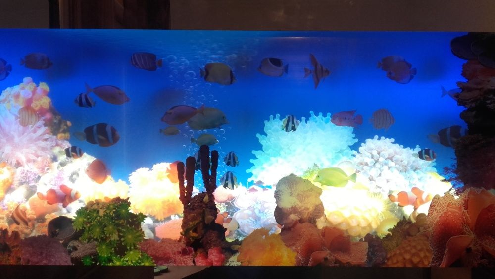 Quadro digital aquário