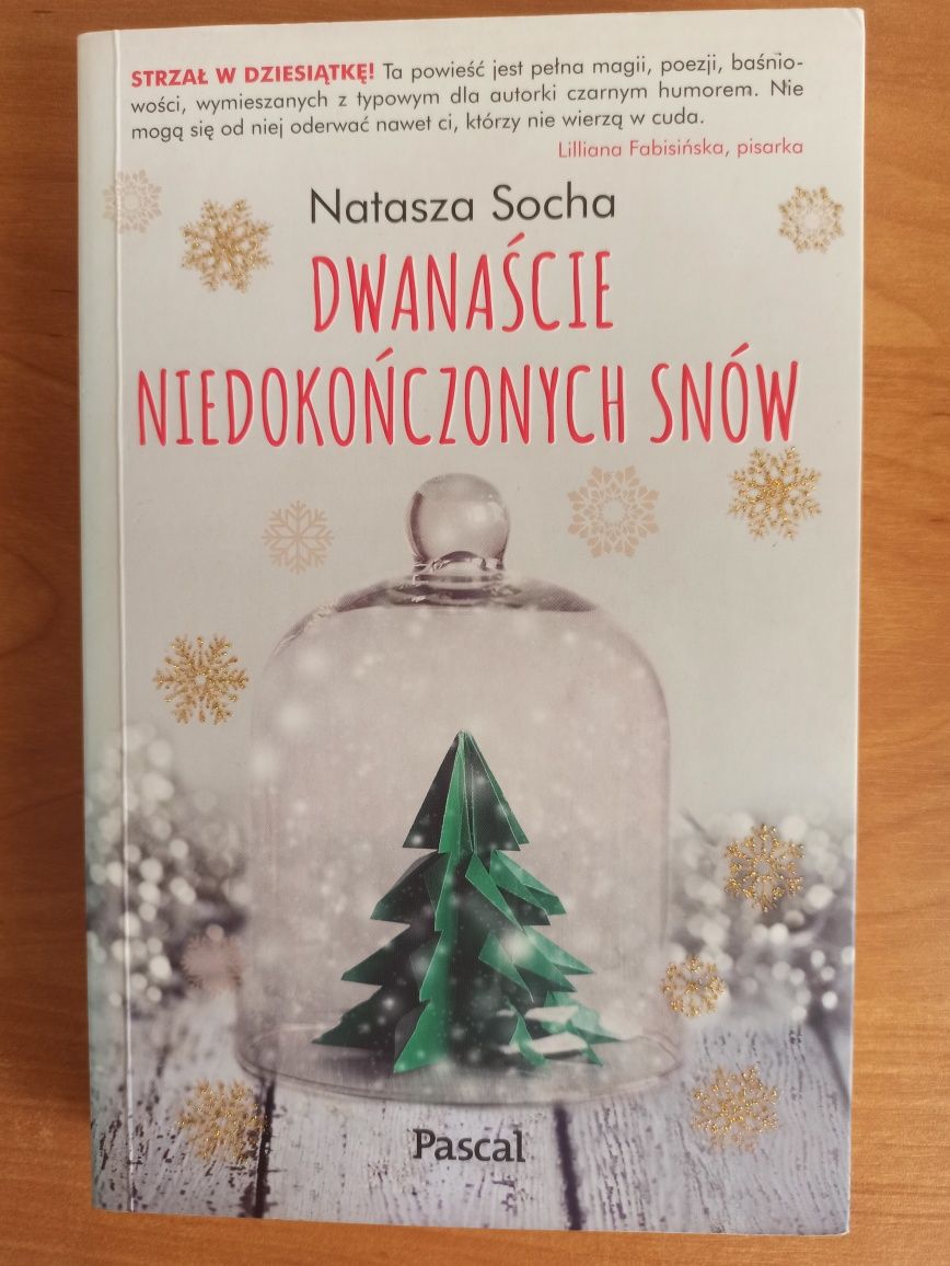 Dwanaście niedokończonych snów Natasza Socha