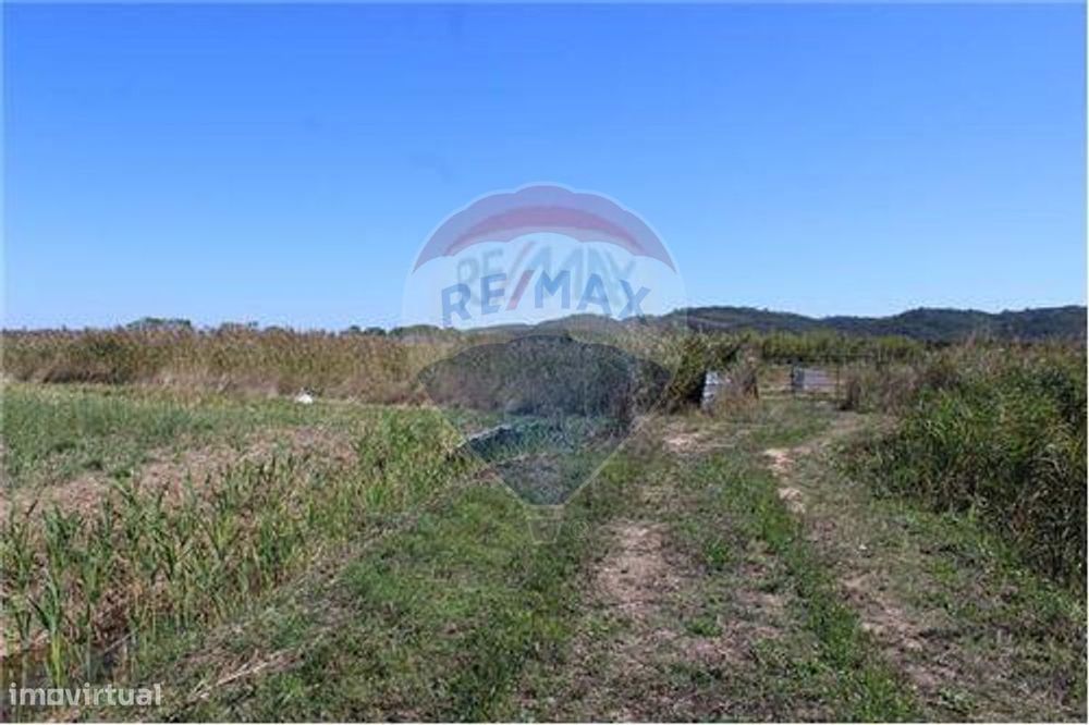 Terreno  para venda