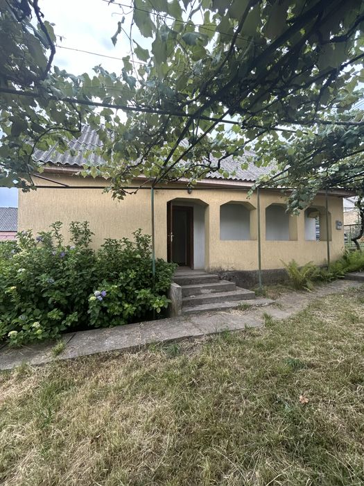 Продається будинок село Букове вул. Незалежності