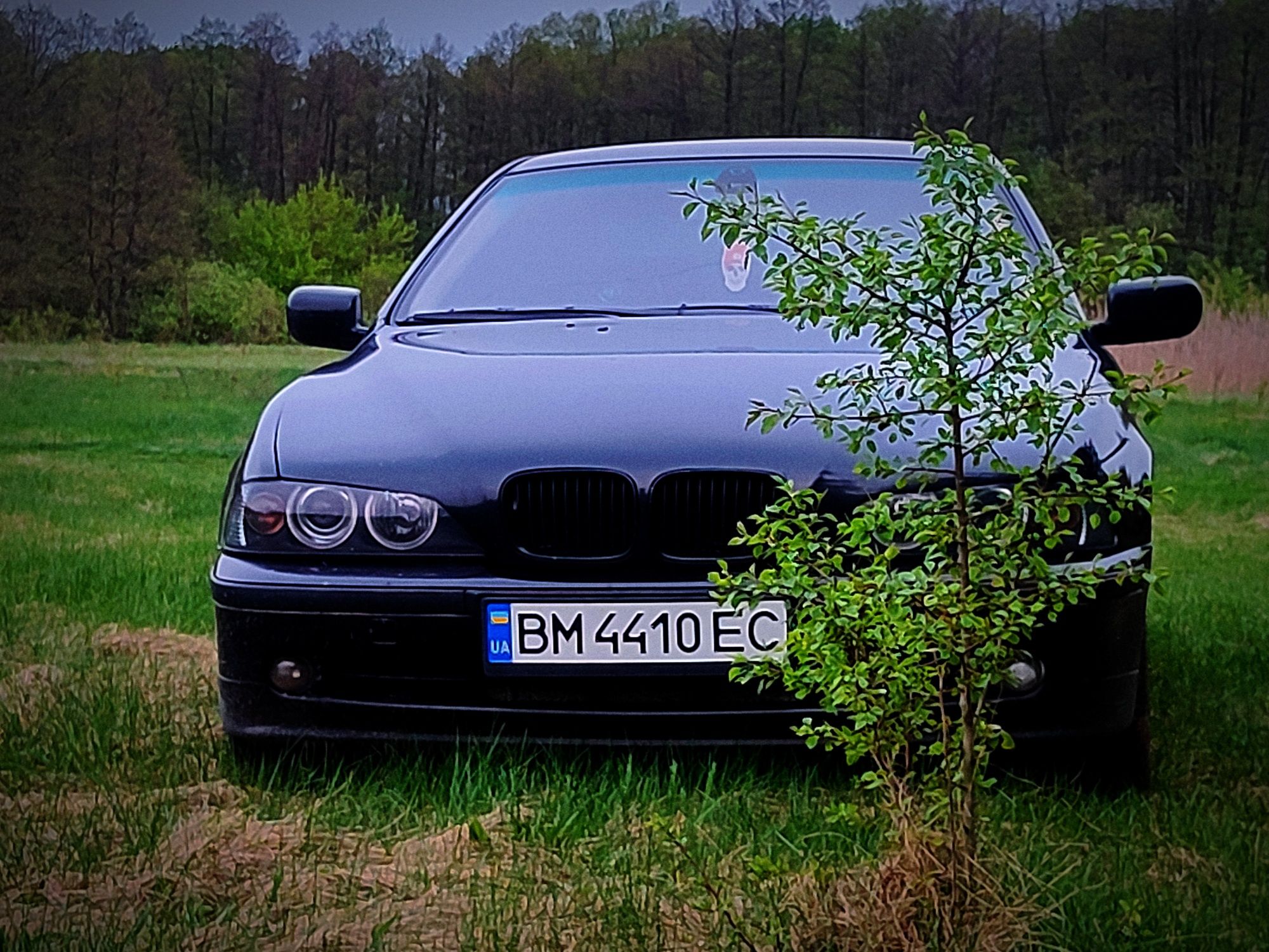 BMW 525D дизель 2,5