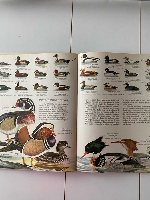 O Grande Livro das Aves 1970 (ctt grátis)