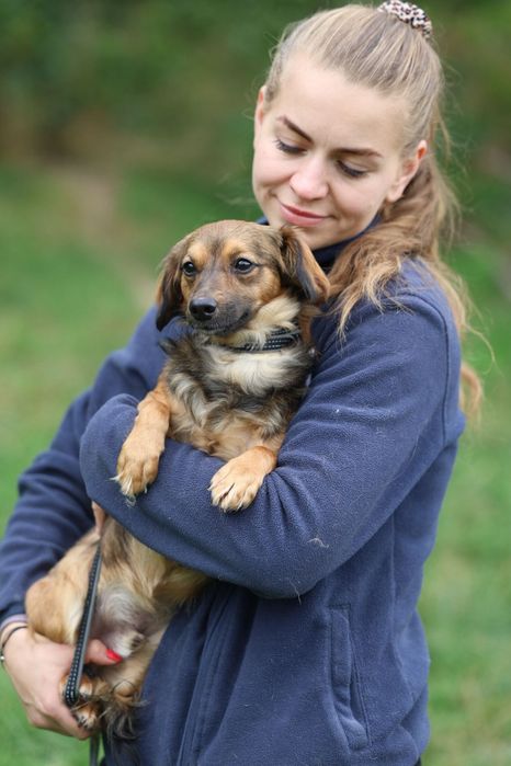 Roczny malutki samiec do adopcji