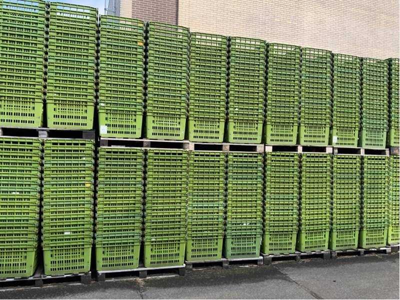 Pojemnik Kosz Skrzynka Plastikowa Box Magazynowy Transportowy Kuweta