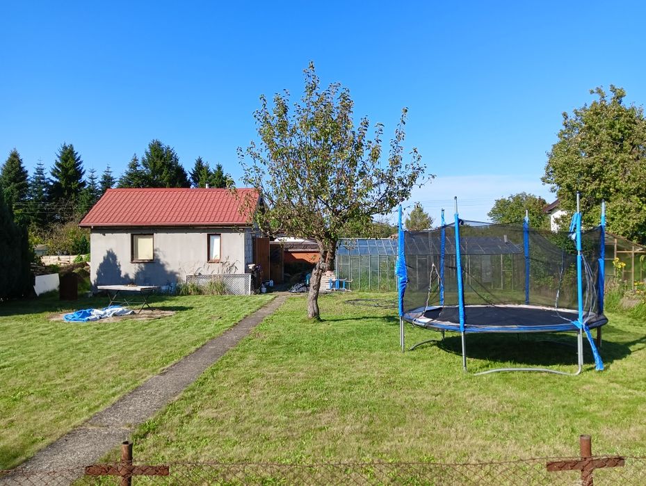 Działka ROD Centralny 500m kw