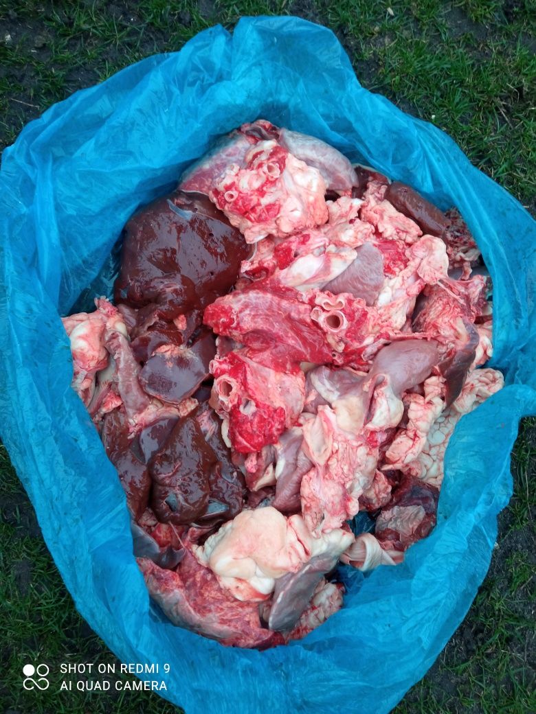 Продам відходи з тварин для собак