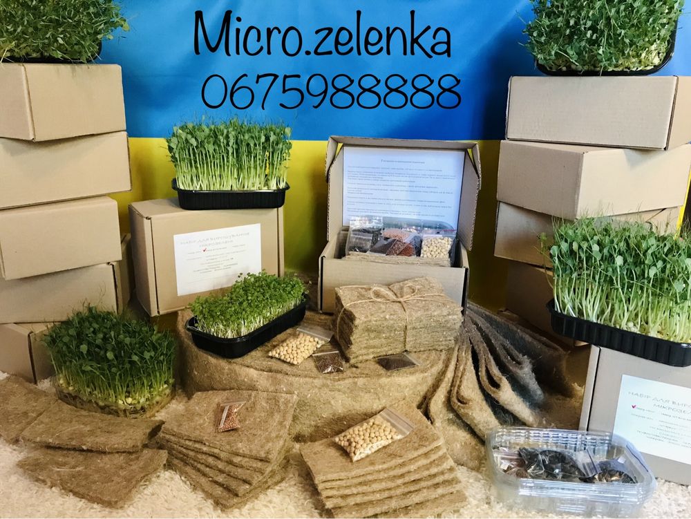 МІКРОЗЕЛЕНЬ набір для вирощування мікрозелені мікрогрін микрозелень