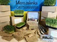 МІКРОЗЕЛЕНЬ набір для вирощування мікрозелені мікрогрін микрозелень