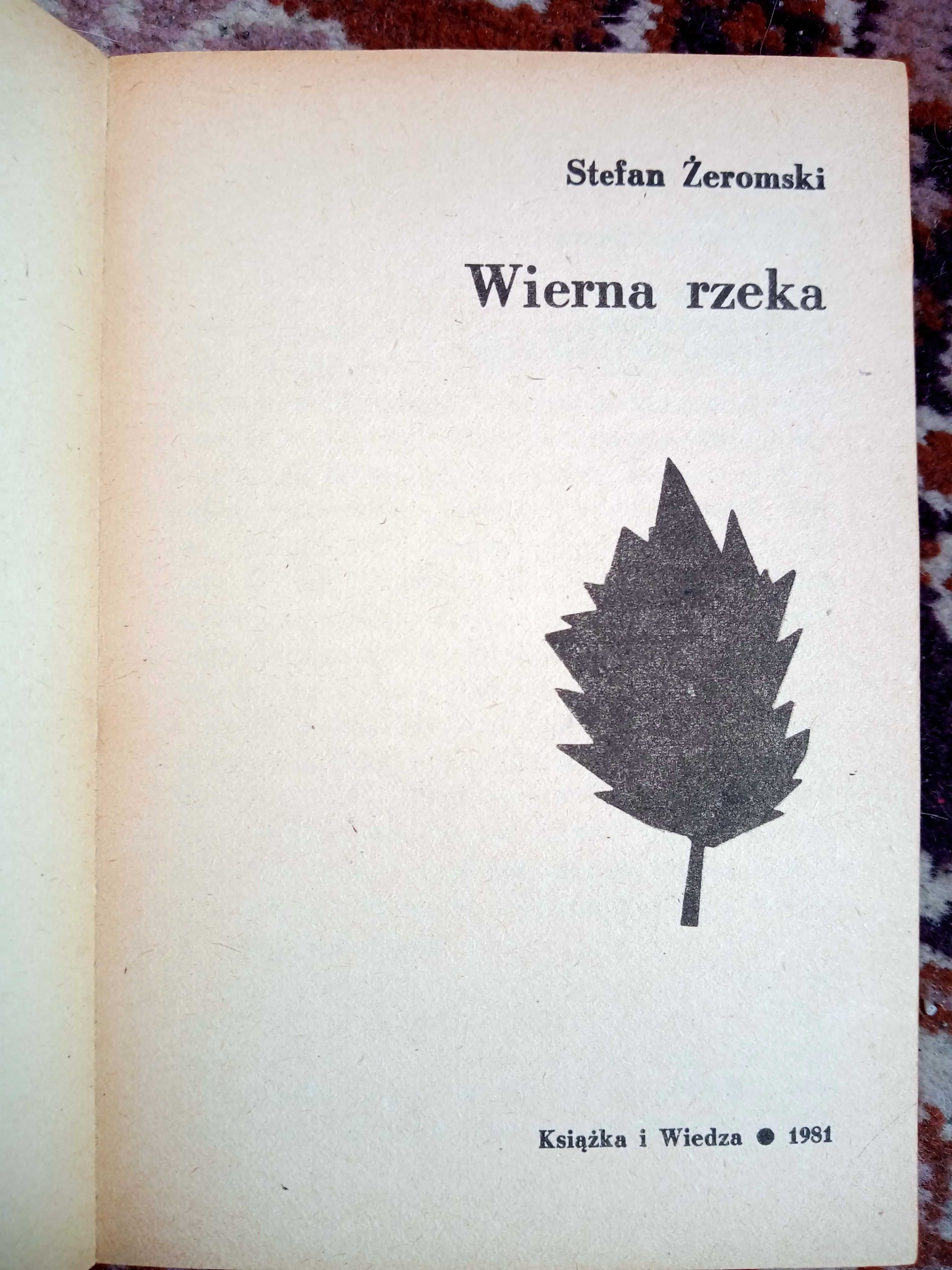 Biuro matrymonialne Herve Bazin. Wierna rzeka Stefan Żeromski