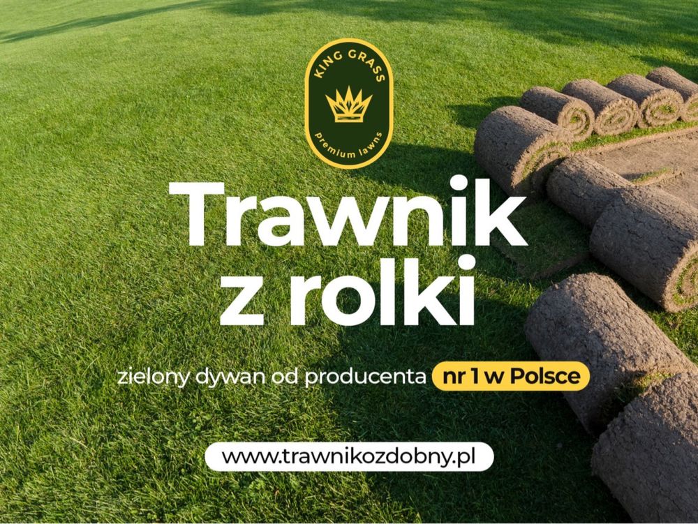 Trawnik z rolki ogrodowo sportowy/ trawa w rolce/ trawa/ plantacja