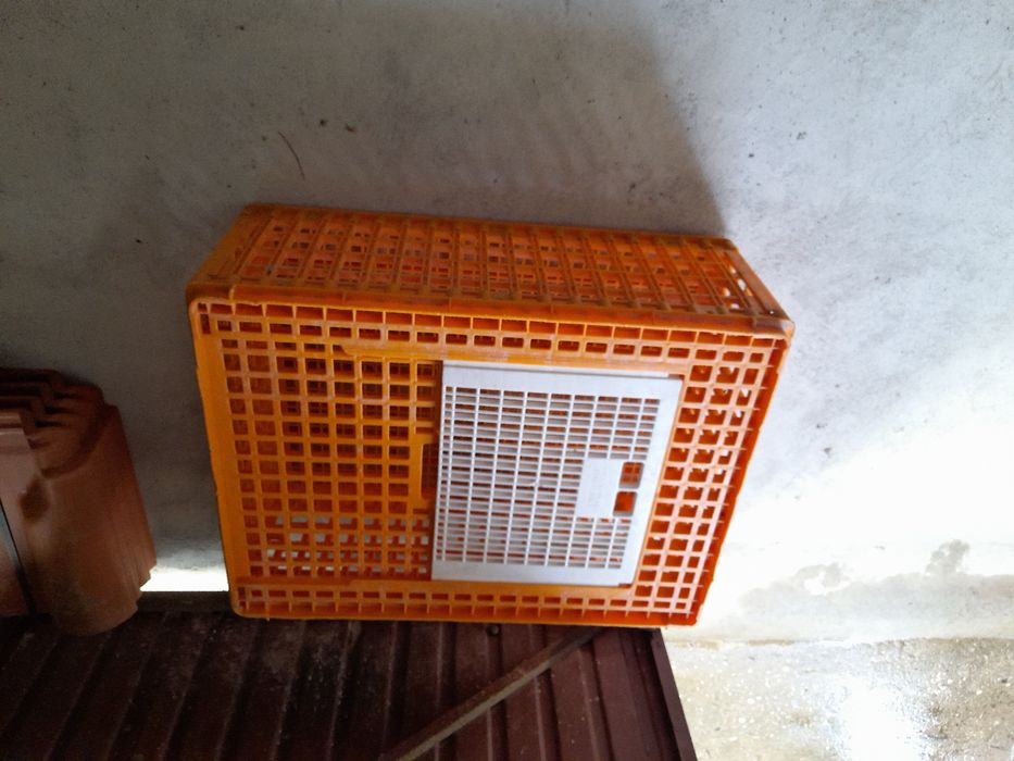 Dispenso gaiola de animais