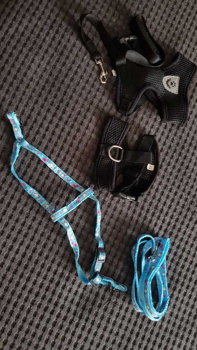 Зоотовари для котів та маленьких собак, переноска, одяг тощо